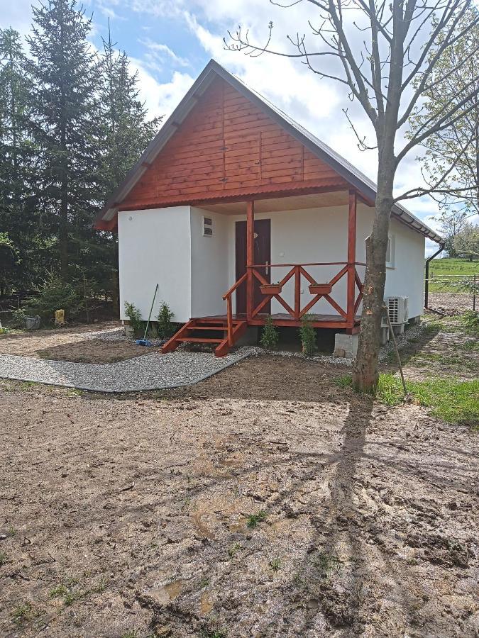 Agroturystyka Pod Sniezna Bystrzyca Klodzka Exterior photo