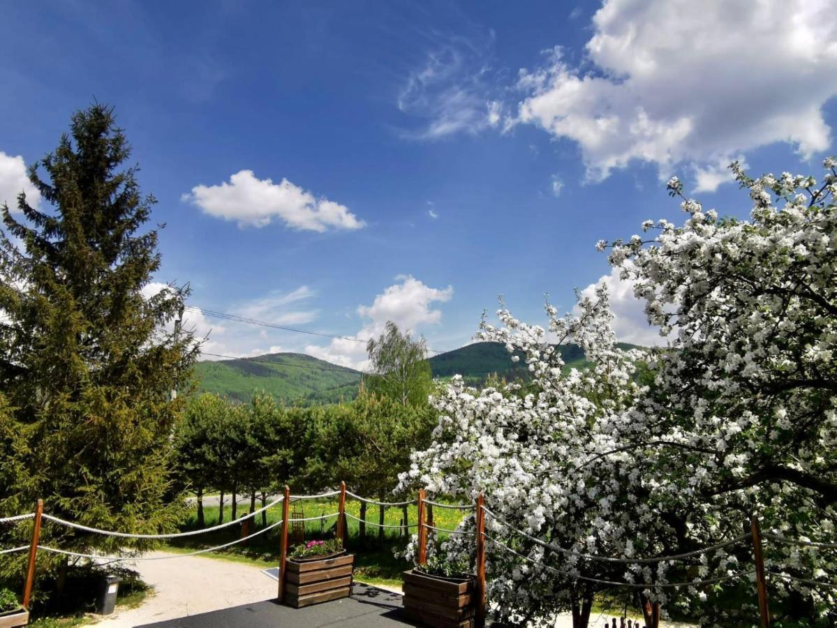 Agroturystyka Pod Sniezna Bystrzyca Klodzka Exterior photo
