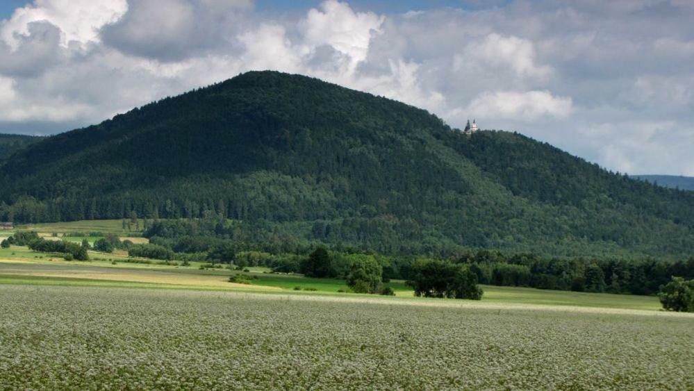 Agroturystyka Pod Sniezna Bystrzyca Klodzka Exterior photo